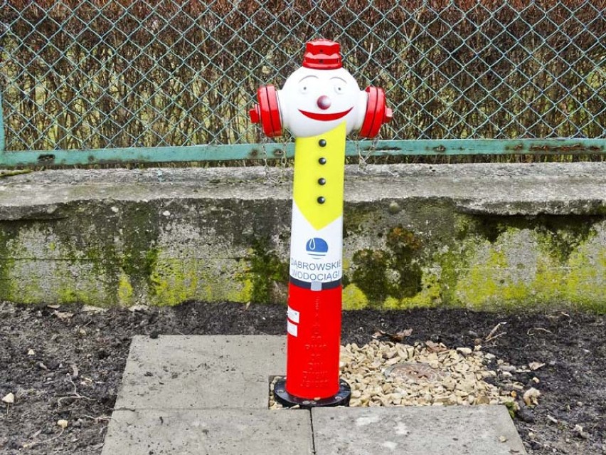 Wesołe hydranty stały się okazją do edukacji z zakresu...