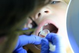 Najlepsi dentyści na Podkarpaciu. Którzy lekarze stomatolodzy są najczęściej polecani przez mieszkańców woj. podkarpackiego? [RANKING]
