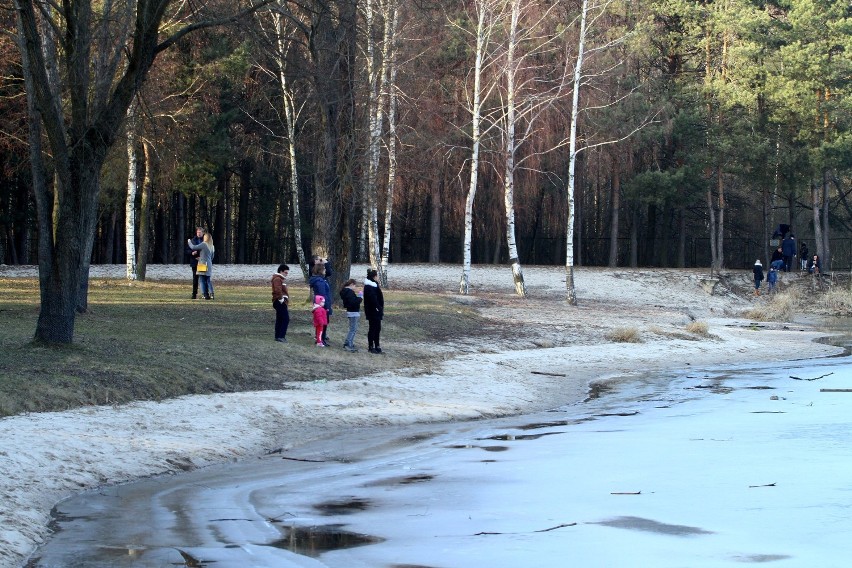 Likwidacja portów jachtowych nad Zalewem Sulejowskim w...