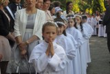 Dzieci z dolskiej parafii św. Michała Archanioła przyjęły Pierwszą Komunię Świętą [ZDJĘCIA]