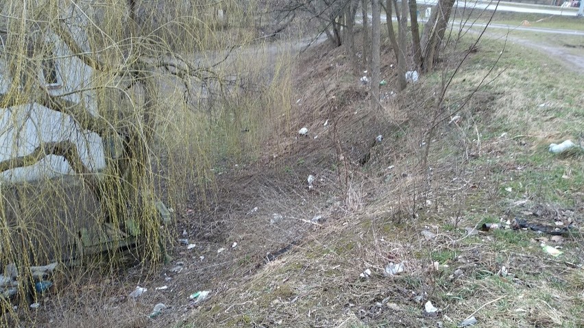 Dzikie wysypisko śmieci przy ul. Wapiennej ma zniknąć