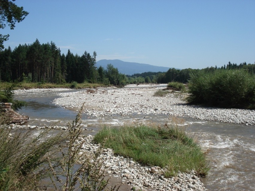 Rzeka Białka Tatrzańska - obszar Natura 2000 Dolina Białki