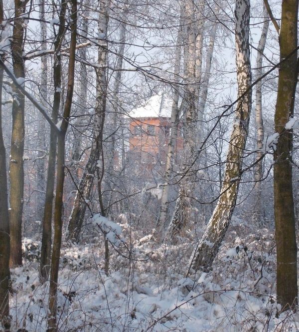 Gród Rycerski w Byczynie. Modrzewiowa budowla jest własnością gminy 
