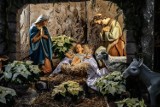 Kard. Nycz: Boże Narodzenie to nie są święta opłatka, choinki, Wigilii, ale narodzenia Chrystusa