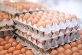 Sprawdzone zamienniki jajek do wypieków. Co zamiast jajek? Czym zastąpić jajko w przepisach?