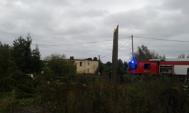 Ponad 22 razy strażacy z powiatu kartuskiego interweniowali przy usuwaniu skutków wichury i deszczu.