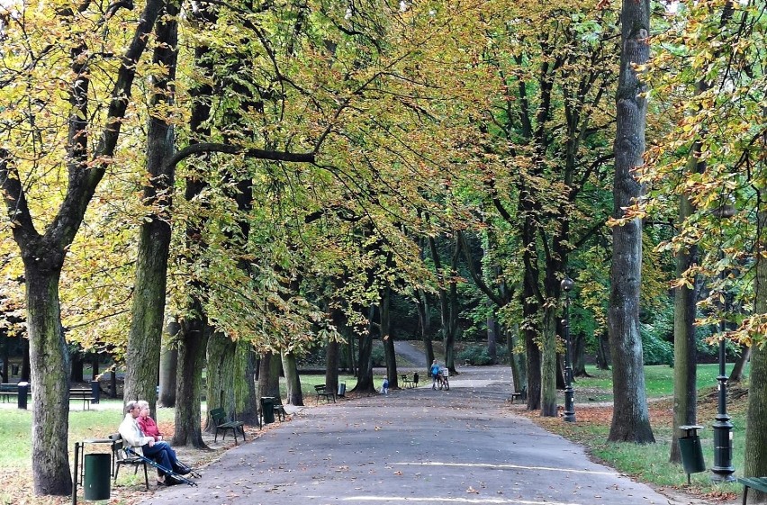 Kraków. Podgórze nabiera pięknych, jesiennych barw [ZDJĘCIA]