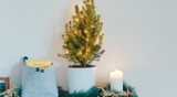 Jak ustawić choinkę w małym mieszkaniu? Sprawdzone triki na aranżację świątecznego drzewka. Zdjęcia pięknych choinek do małego metrażu