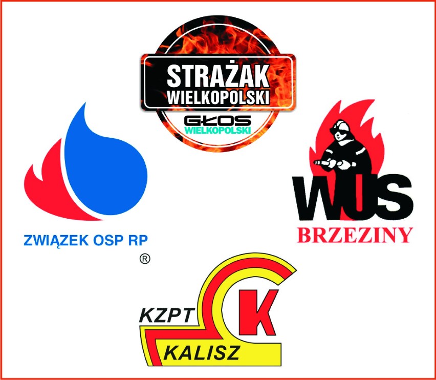 Strażak Wielkopolski 2015 - głosuj