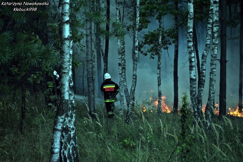 Krzepice: Pożary lasów