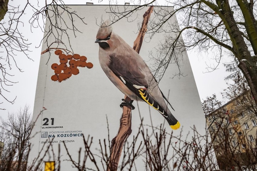 Murale - osiedle Na Kozłówce