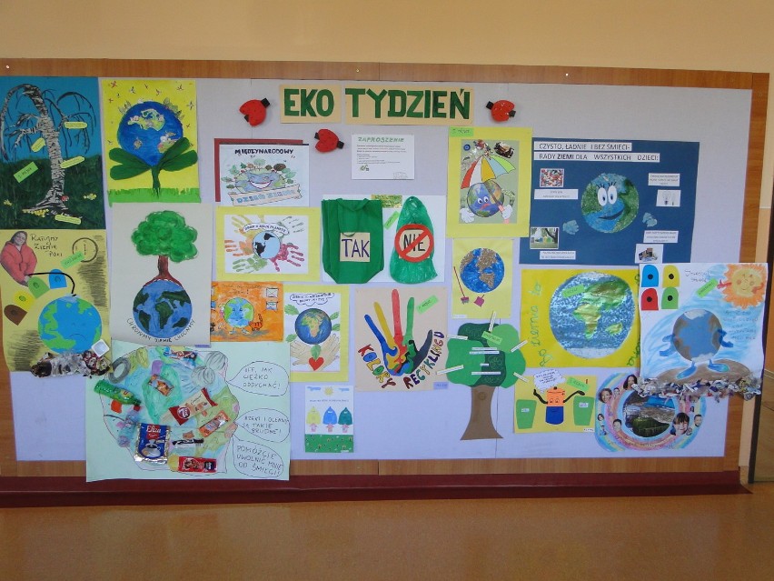 SOSW Puck - warsztaty ekologiczne w szkole