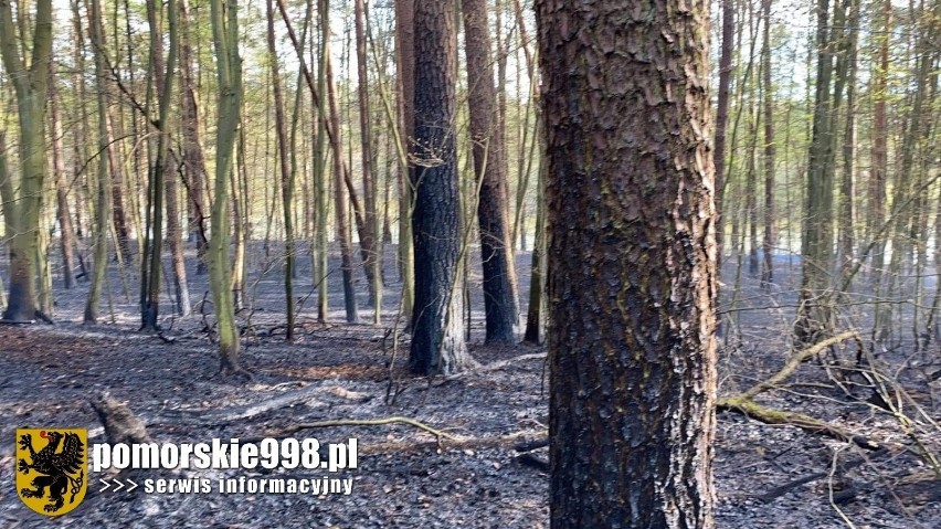 Płonął las we wsi Loryniec w poniedziałek, 10.05.2021 r.!...