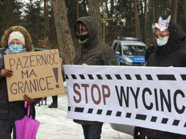 W Lesie Szwajcarskim odbyło się kilka akcji protestacyjnych przeciwko wycince