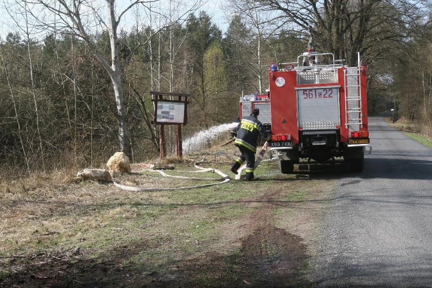 Pożar lasu w Rudach. Spaliło się 20 hektarów. KTO ZAWINIŁ. NOWE FAKTY