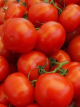 Pomidory: produkt, który cię uzdrowi