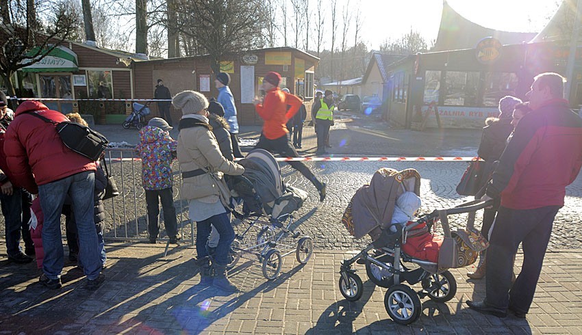 Bieg Urodzinowy w Gdyni. Ponad 2500 zawodników pokonało 10-kilometrową trasę (ZDJĘCIA)