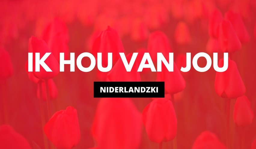 "Kocham Cię" po niderlandzku to Ik hou van jou

Oby...