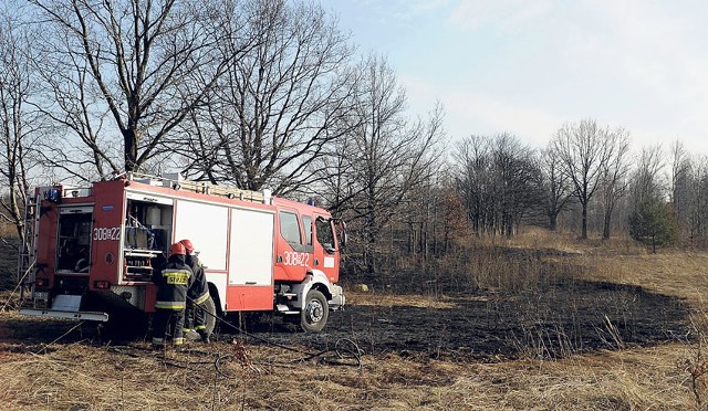 Przy ul. Stokowskiej strażacy gasili 2,5 hektara płonących traw.