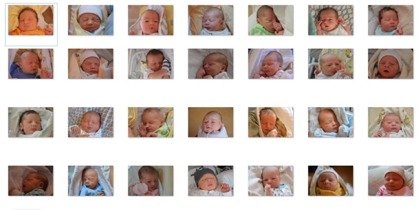Maluszki urodzone w sierpniu w Szpitalu Miejskim w Miastku (galeria zdjęć)