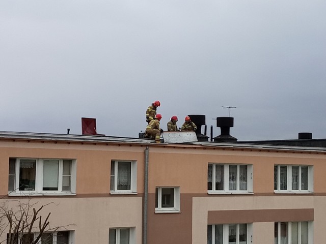 Bydgoscy strażacy cały czas usuwają skutki wichur, które w ostatnich godzinach przeszły przez Bydgoszcz oraz powiat bydgoski.