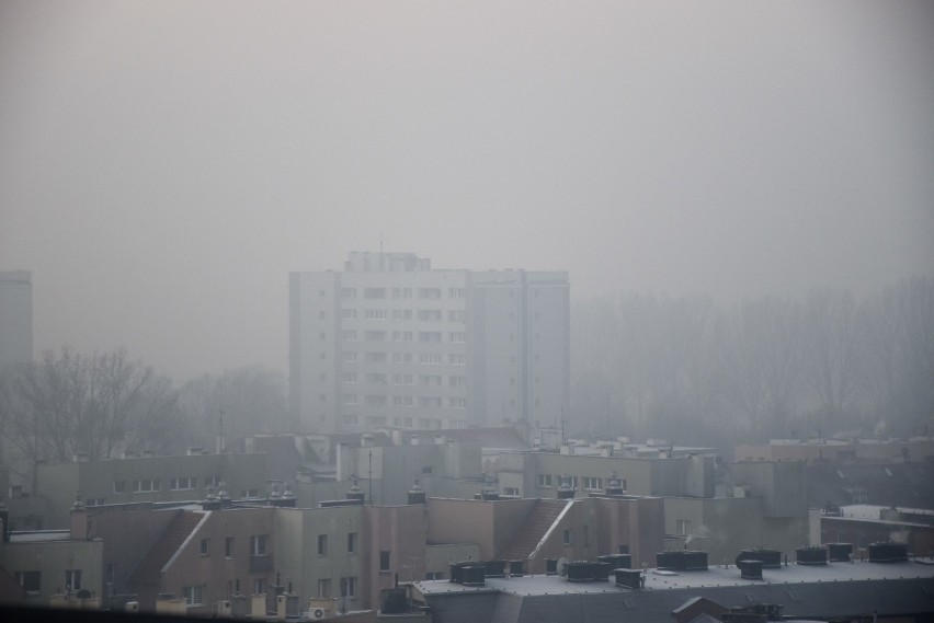 Smog w Opolu. Przez epidemię koronawirusa Straż Miejska ma...