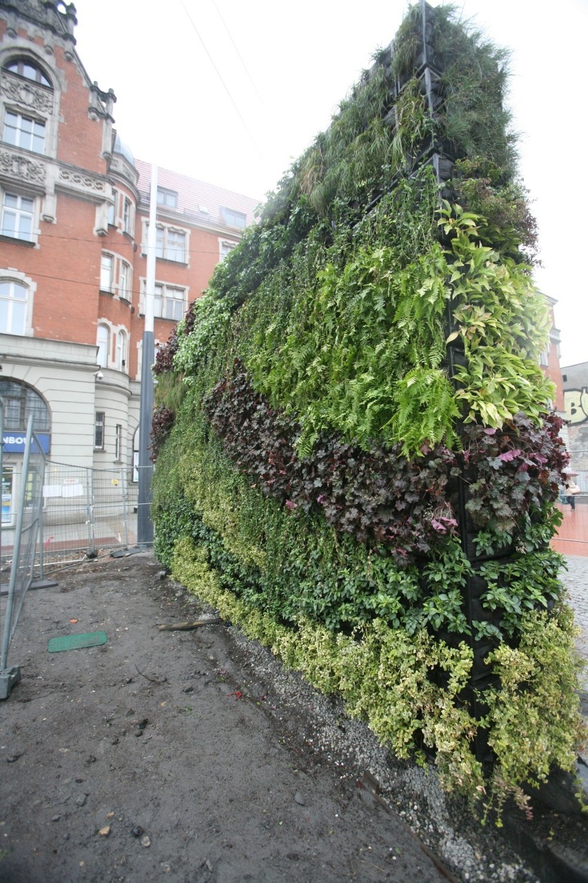 Wertykalne ogrody w Katowicach. Mają dać więcej zieleni w centrum [NOWE ZDJĘCIA]