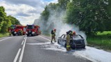 Pożar samochodu osobowego na DK 11 w Kierzkowicach