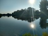 Kąpielisko na Przystani w Tomaszowie Mazowiecki otwarte po badaniach inspekcji sanitarnej