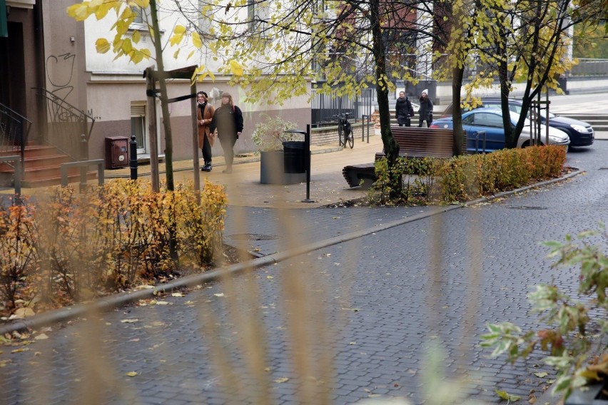 Zielona specjalność Lublina. Można zgłaszać projekty do Zielonego Budżetu