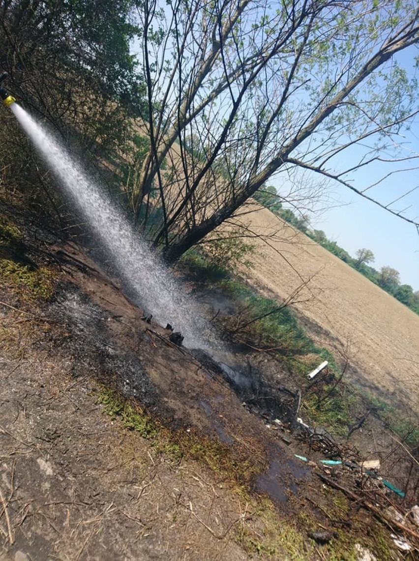 Pożar traw i krzewów