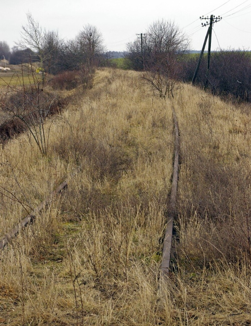 Nieczynna linia kolejowa nr 363 Rokietnica - Międzychód -...