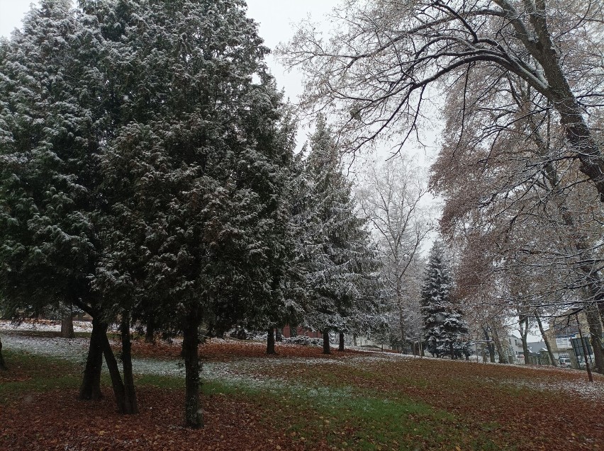 Pierwszy śnieg w Cieszynie 2022