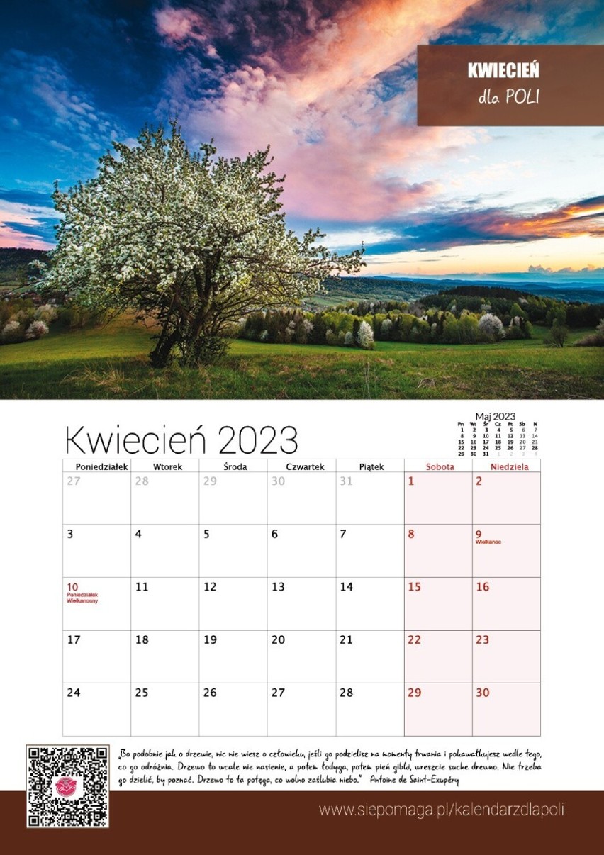Kup kalendarz z bieszczadzkimi pejzażami. Pomożesz uratować Polę! (ZDJĘCIA) 