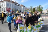 Pola Nadziei zakwitły w Pruszczu.  Była żonkilowa parada ulicami miasta i festyn!