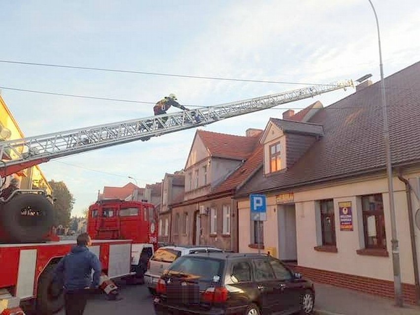 Strażacy chcieli zdjąć kota z dachu, ale ten... im uciekł! [ZDJĘCIA]