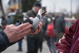 Niedziela handlowa na targu rolniczym w Sławnie. Tłumy. Byliśmy tam. Zdjęcia - 10.03.2024