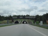 Tunel Königshainer Berge na autostradzie A4 w kierunku Polski nieprzejezdny