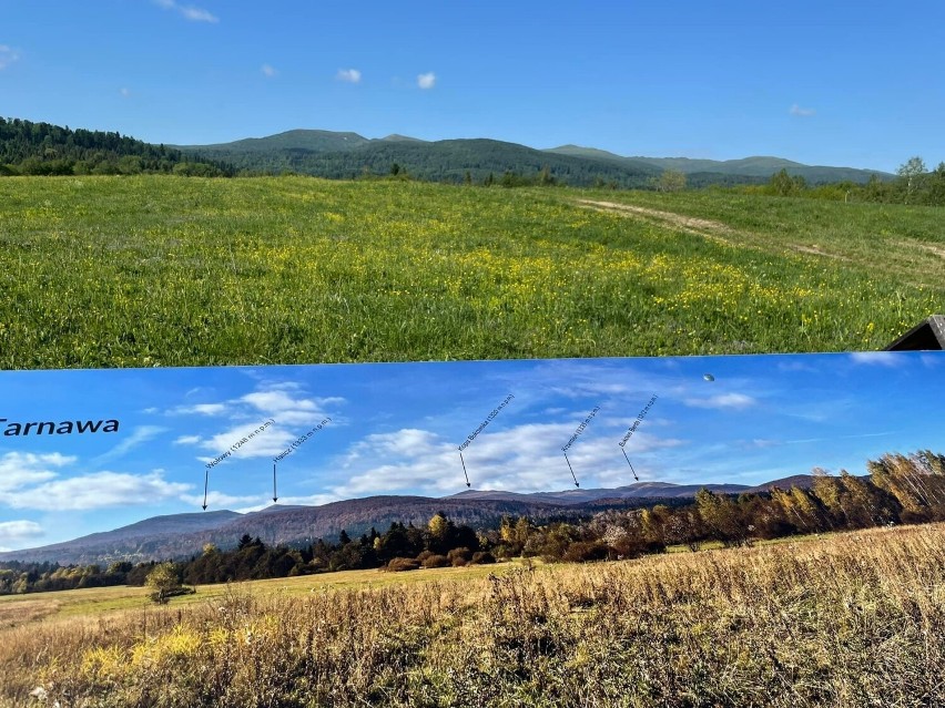 Na szlaku do źródeł Sanu. Świetny pomysł na letnią wycieczkę w Bieszczady [ZDJĘCIA]