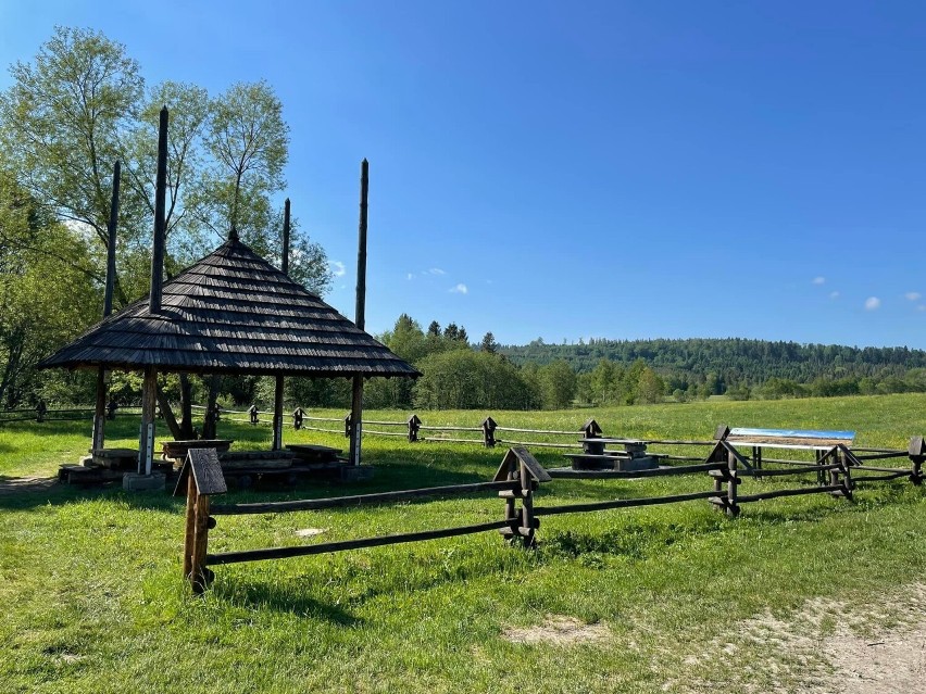 Na szlaku do źródeł Sanu. Świetny pomysł na letnią wycieczkę w Bieszczady [ZDJĘCIA]