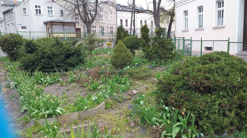 Zieleń cieszy oczy. A jaką macie w swoich domach, ogrodach,...