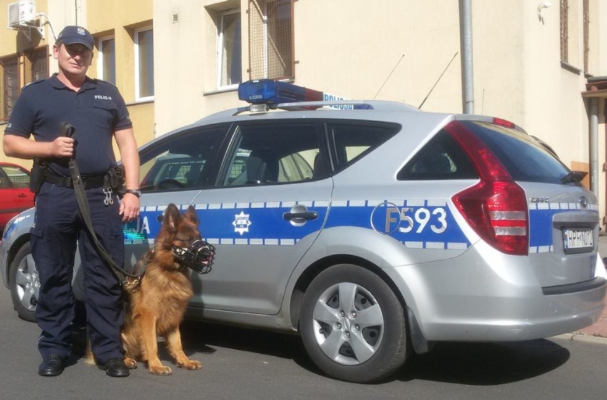 Nowy pies w Łódzkim Garnizonie Policji [ZDJĘCIA]