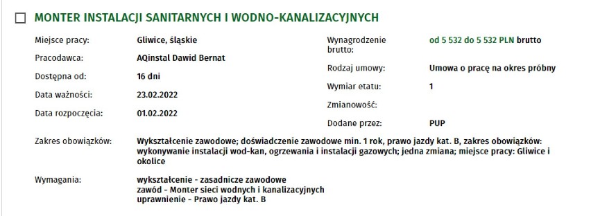 Najlepiej płatne oferty pracy w Gliwicach. Gdzie zarobić najwięcej? Można liczyć nawet na 7 tysięcy brutto