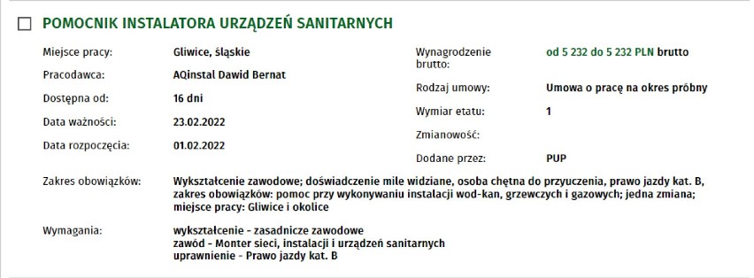 Najlepiej płatne oferty pracy w Gliwicach. Gdzie zarobić najwięcej? Można liczyć nawet na 7 tysięcy brutto