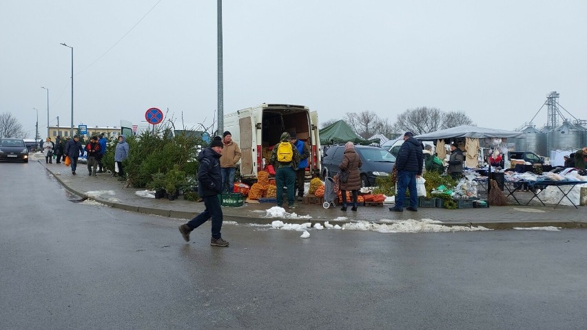 Sporo osób robiło zakupy na targu w Opatowie. Są choinki żywe i ozdoby świąteczne