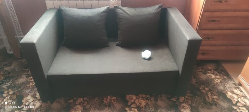sofa
Pleszew