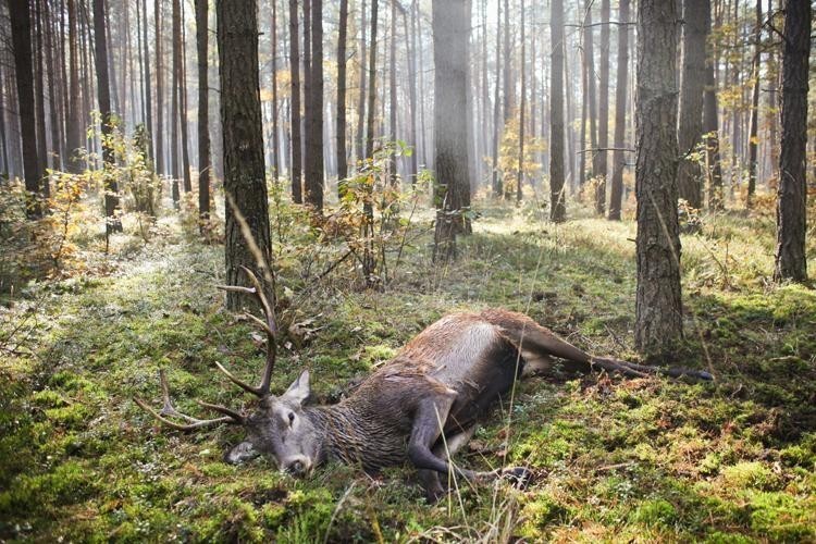 Rybnik Plaza zaprasza na wspaniałą wystawę zdjęć