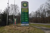 Ceny paliw na stacjach w Gnieźnie. Gdzie jest najtaniej, a gdzie najdrożej?