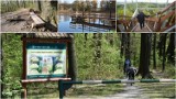 TOP 20 atrakcji pod Tarnowem, gdzie warto się wybrać, żeby odpocząć na łonie przyrody. To doskonałe miejsca na wiosenną wycieczkę w plener!