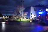 Wichura w powiecie krakowskim. Powalone drzewa, zablokowane drogi dziesiątki interwencji strażaków